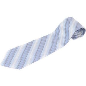 Allyn St. George Multi-Color Striped Mens Neck Tie